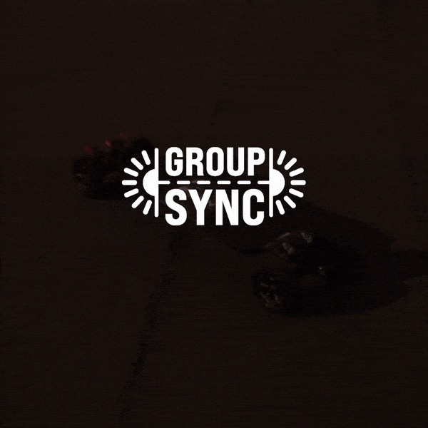 SL-R1+ Two Pack